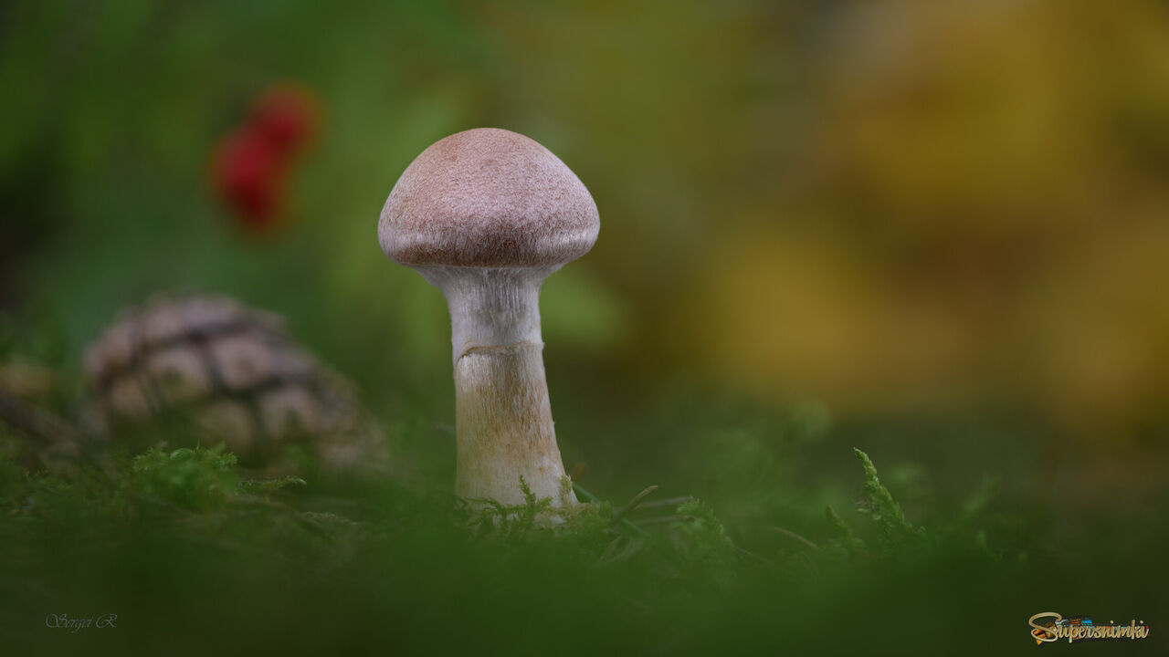 Сентябрь...