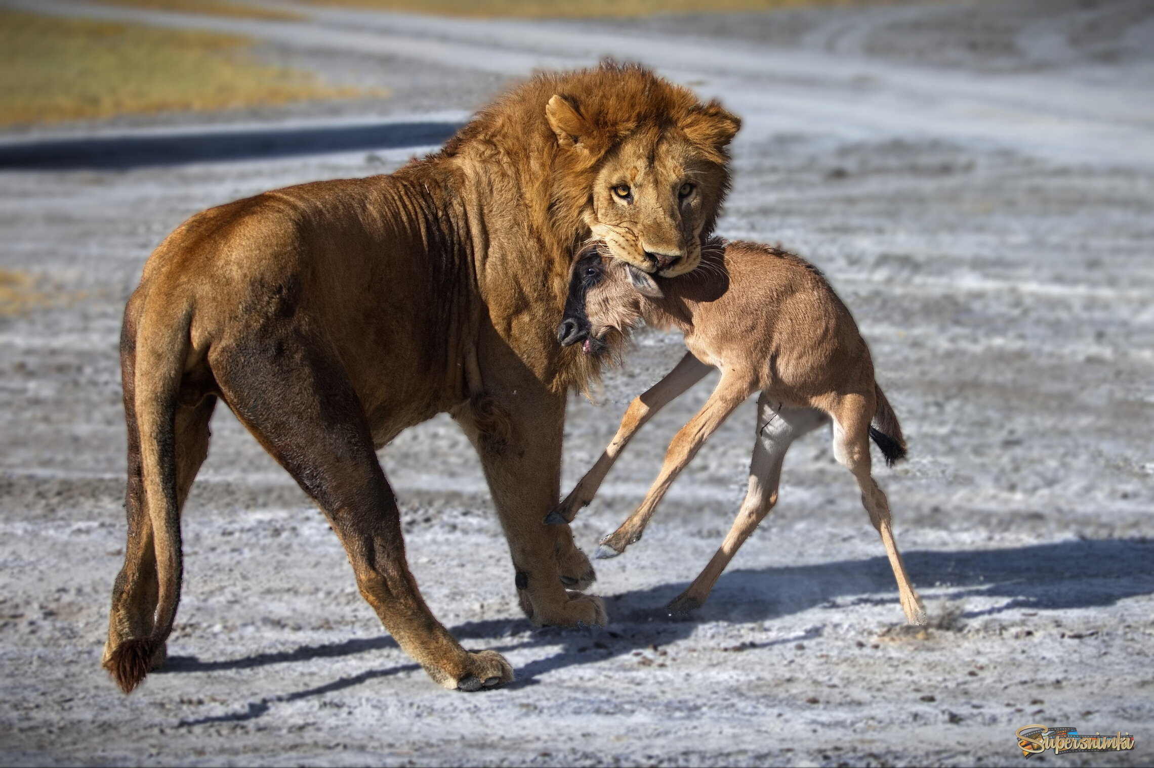 Душегуб