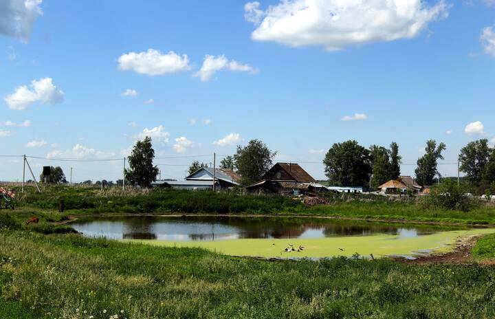 Деревенские мотивы