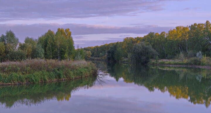 Текущая версия
