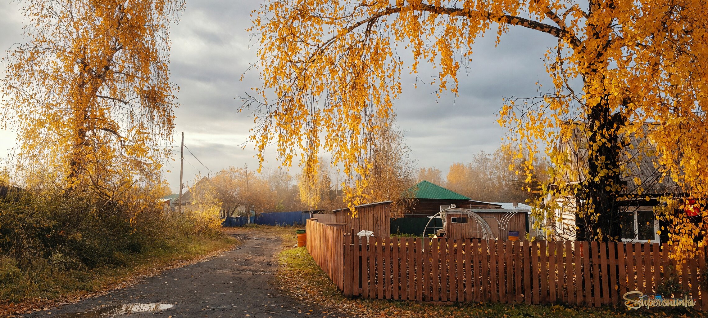 Осенние мотивы