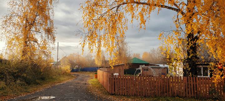 Осенние мотивы