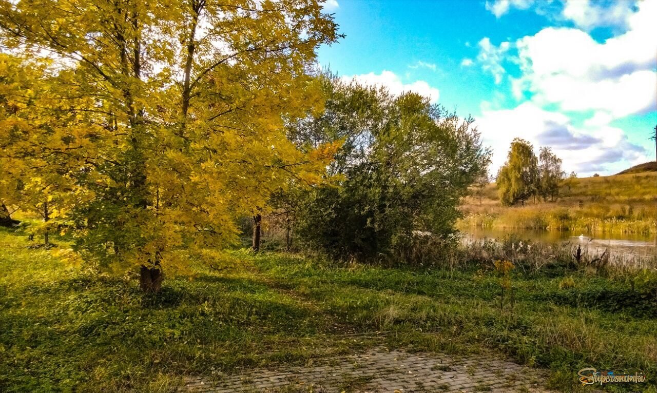 Осень в Орше