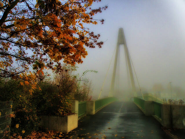Мост в тумане.