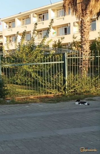 Без названия