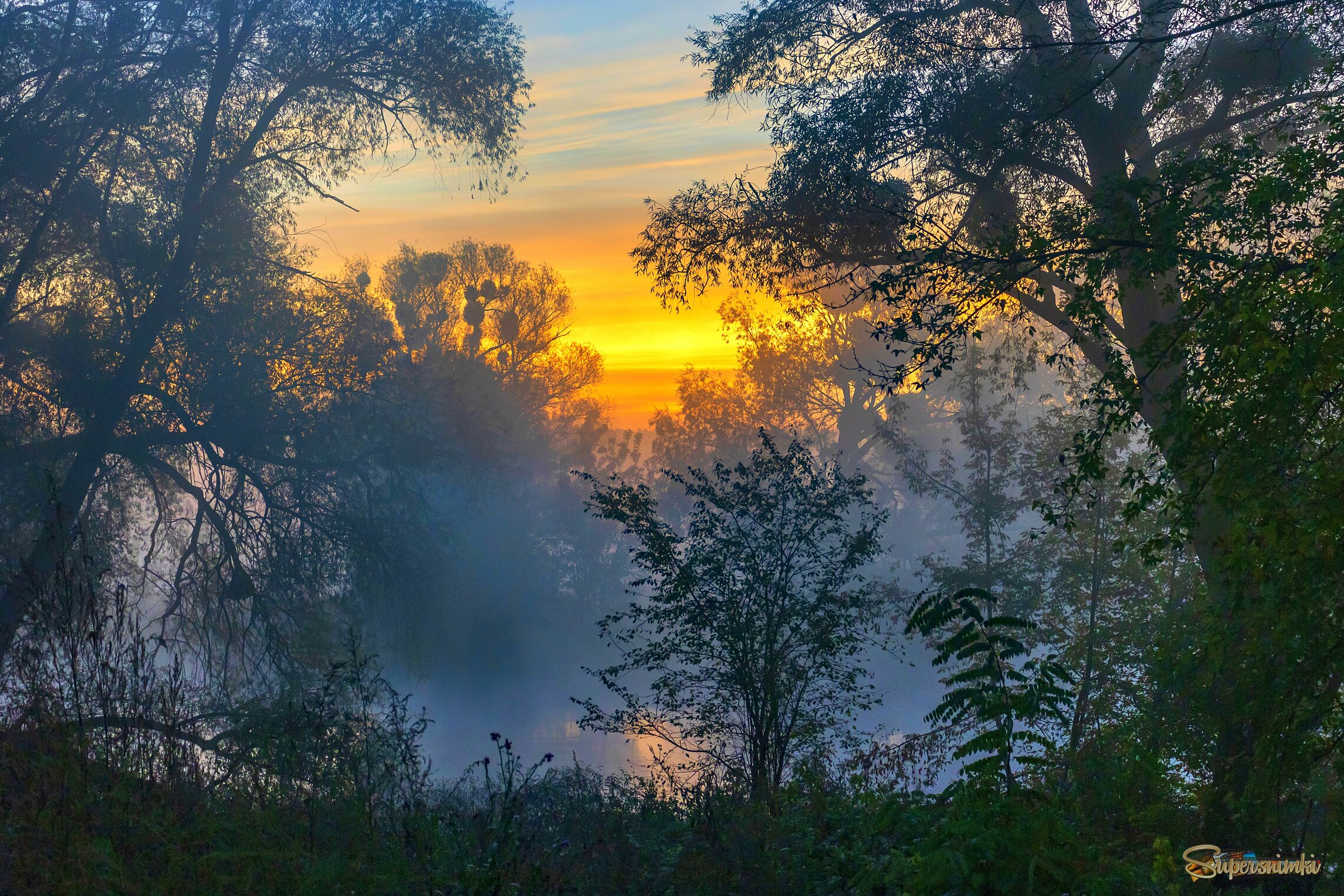 Осеннее утро