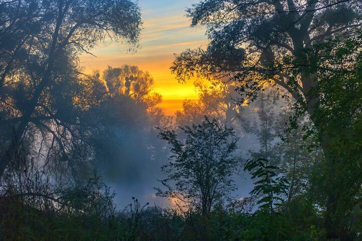 Осеннее утро