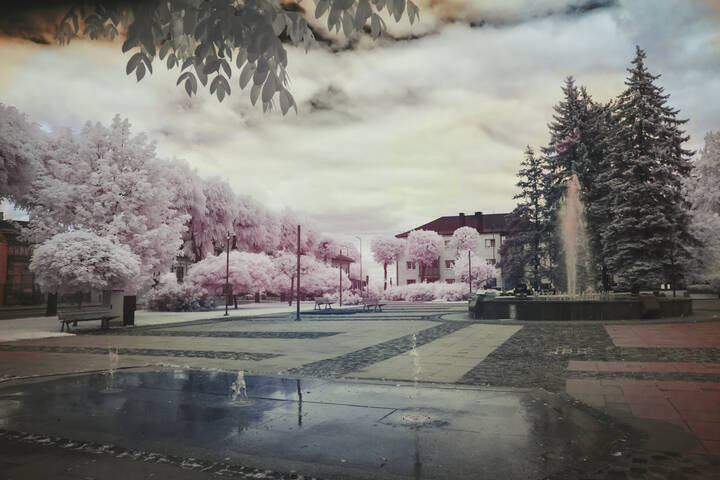 Городские парки.