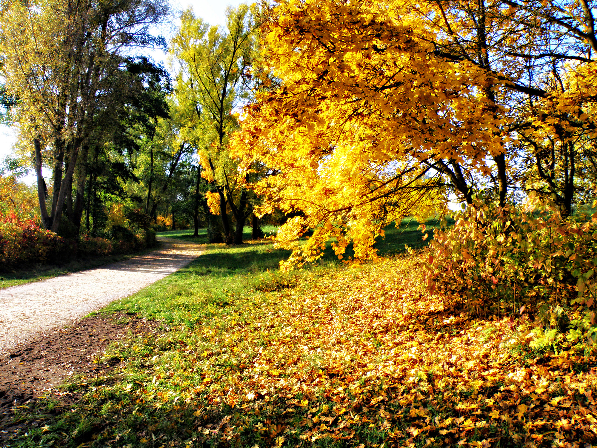 Солнечные дни.