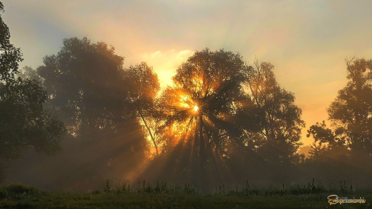 Летнее утро