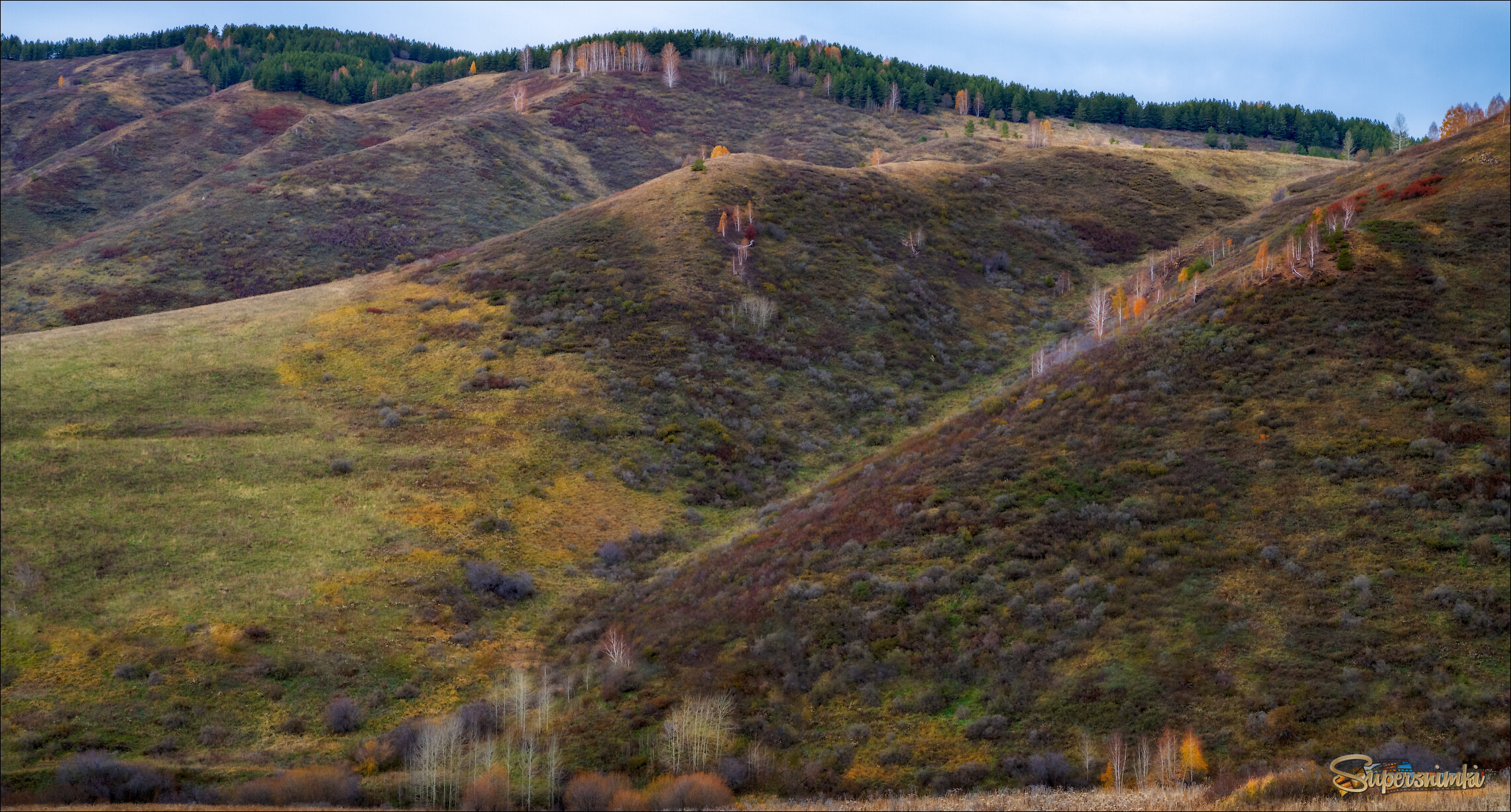Краски осени