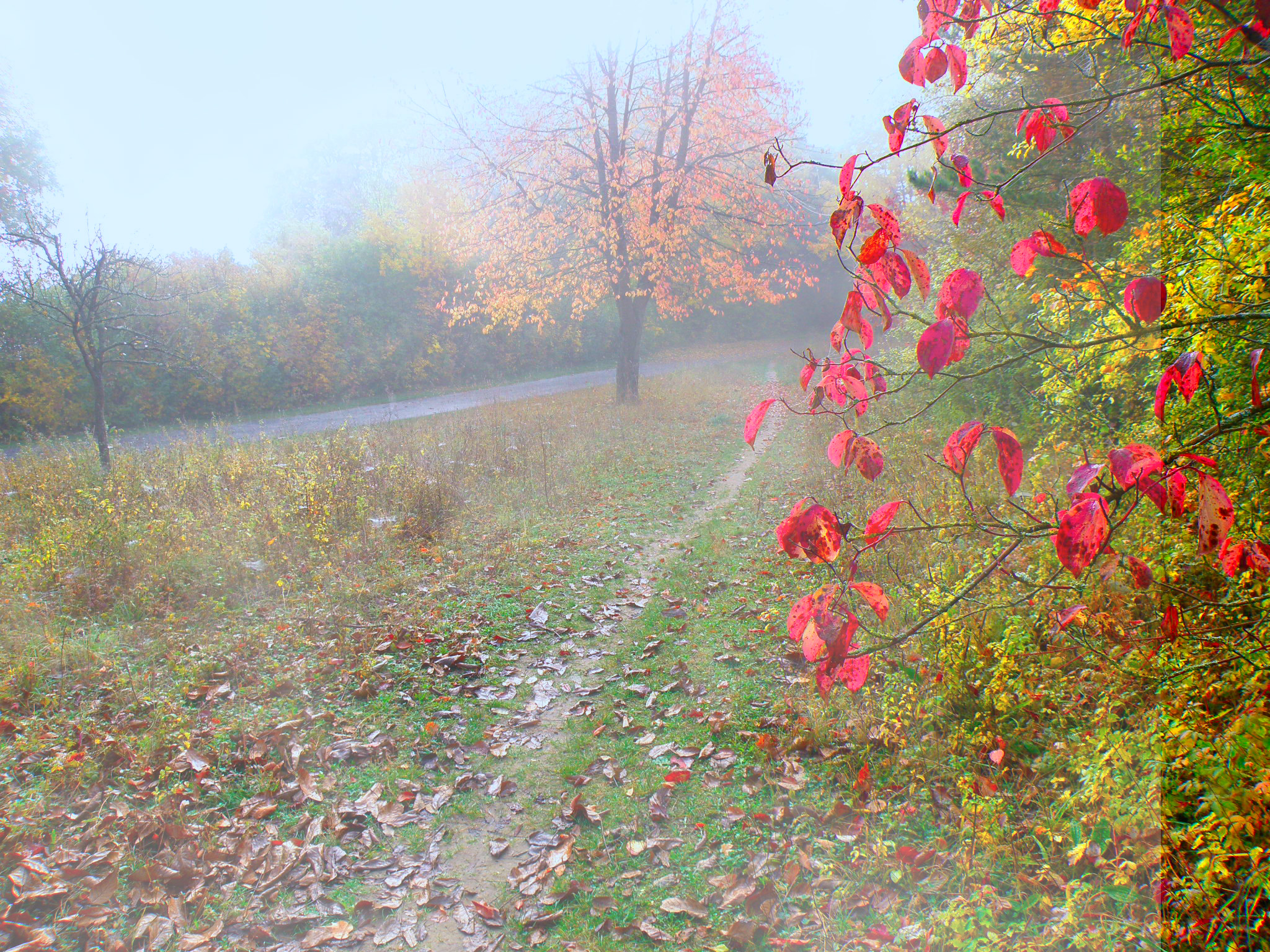Тропинка в туман.