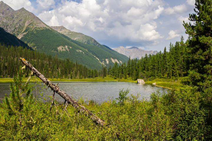 Крен