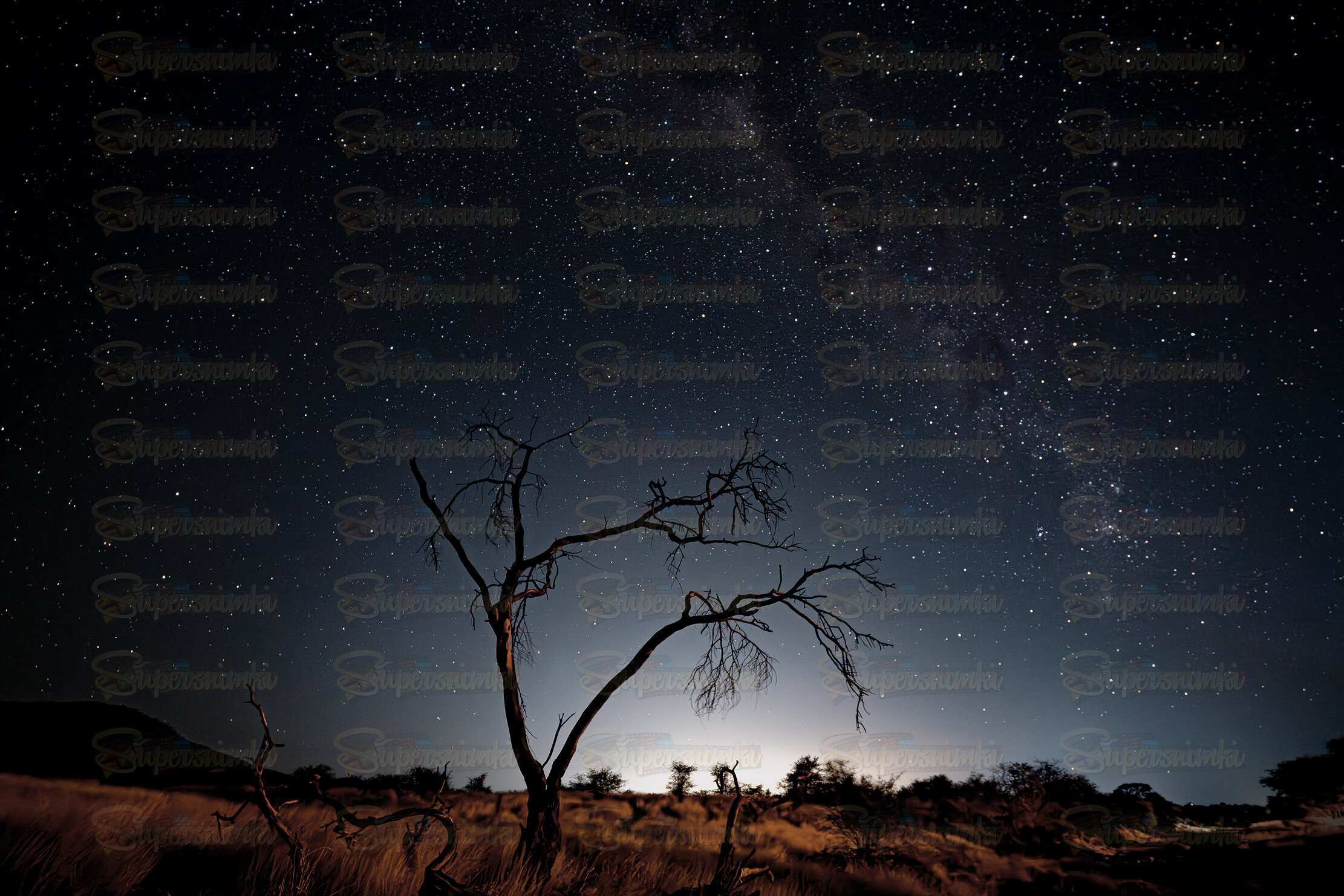 Намибийские истории...